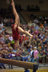 gymnastics_4299555810_-.jpg